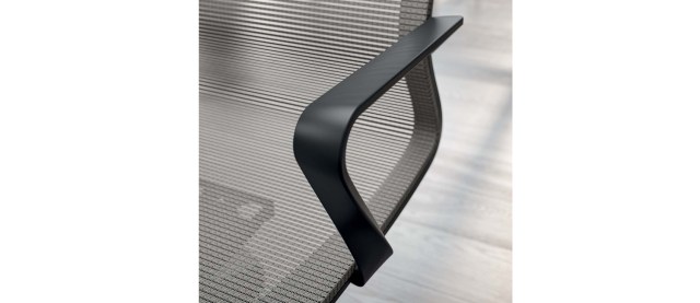 CITY VISITOR & MEETING CHAIR