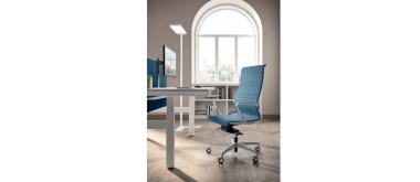 DINAMICA SOFT